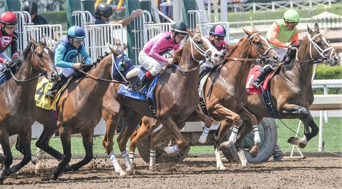 horse-racing