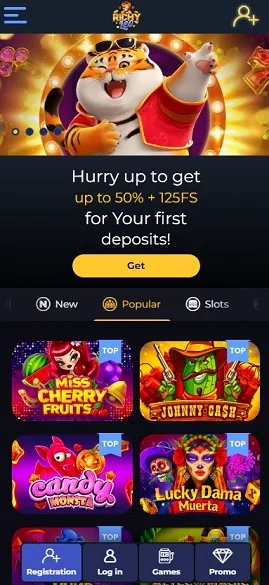 Richyleo Casino mobile version